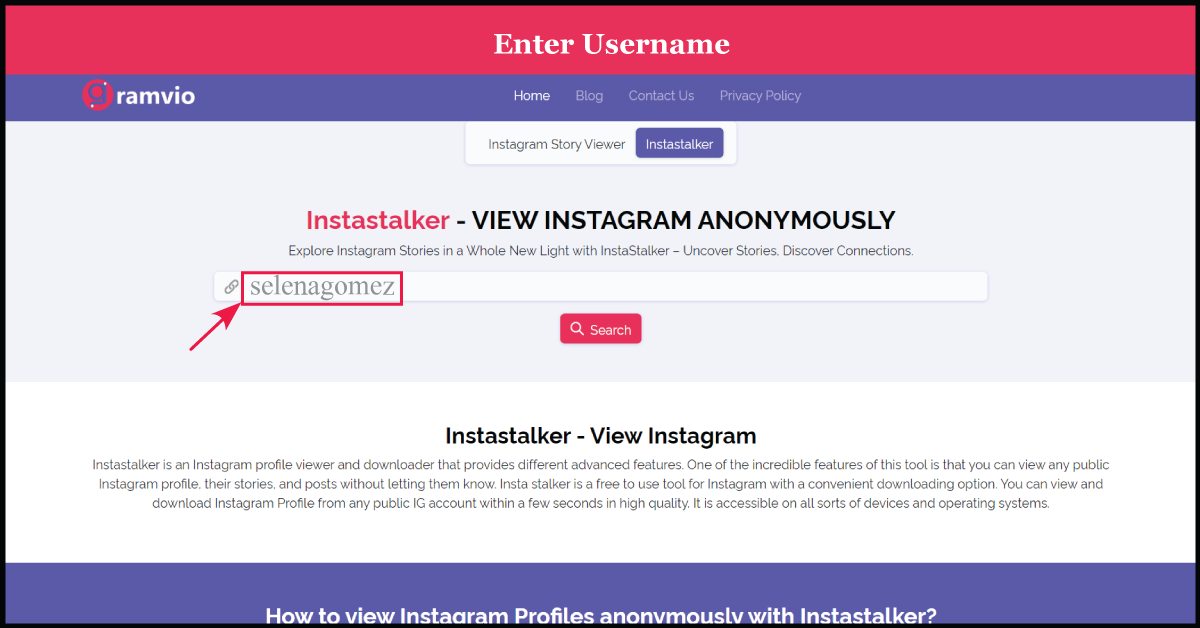 enter instagram username
