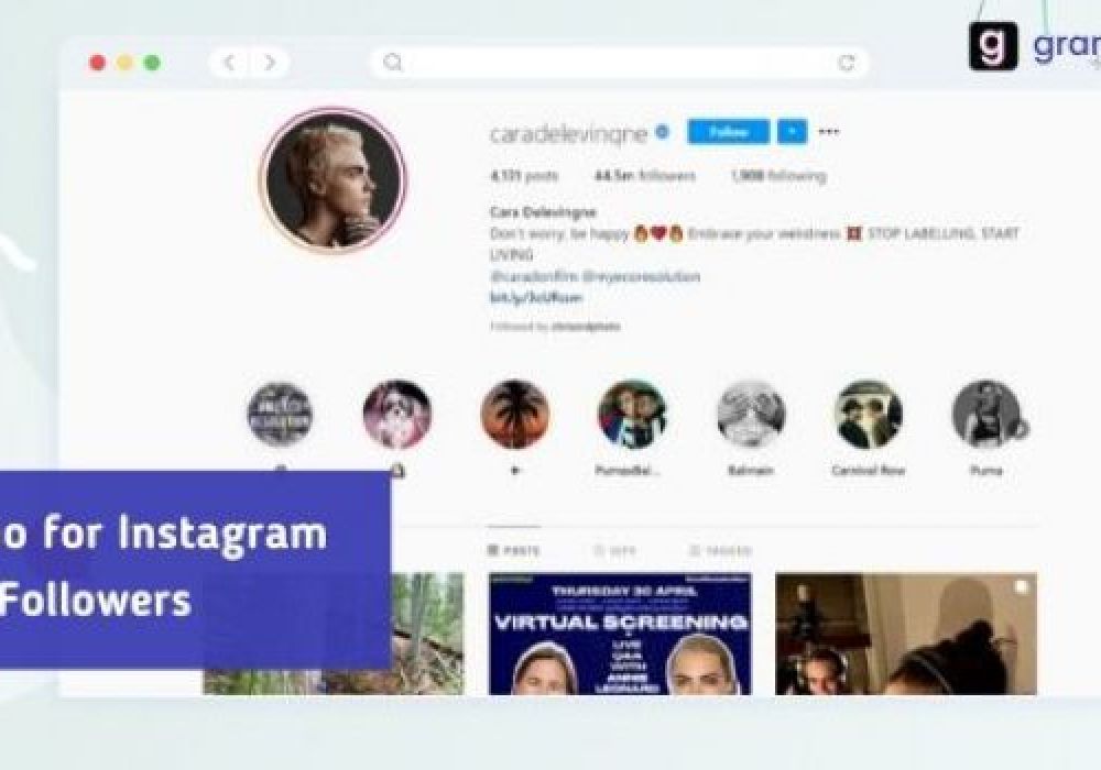 Best Bio for Instagram to Get Followers