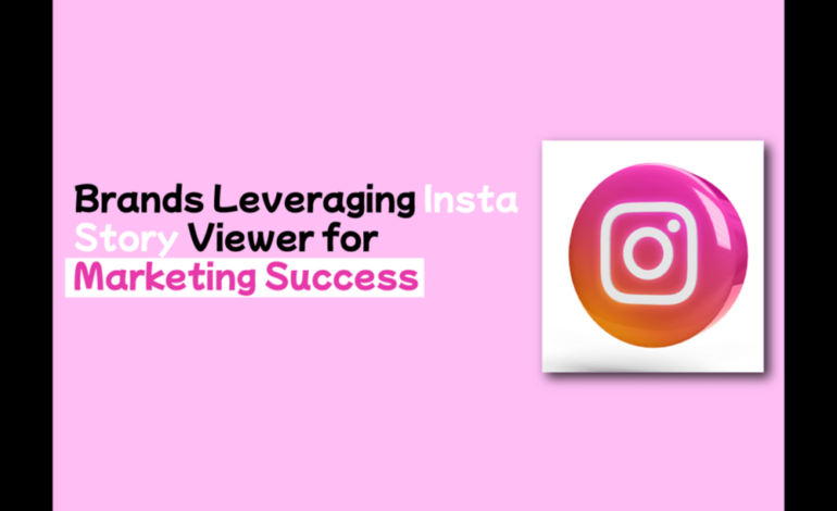 Brands Leveraging Insta Story Viewer for Marketing Success