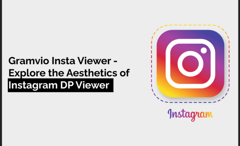 Gramvio Insta Viewer – Explore the Aesthetics of Instagram DP Viewer
