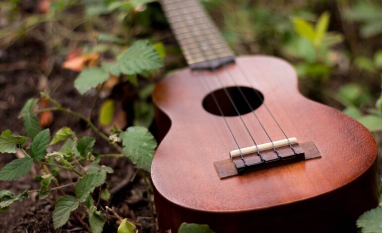 Not Sure Which Musical Instrument to Learn? Here Are a Few Recommendations