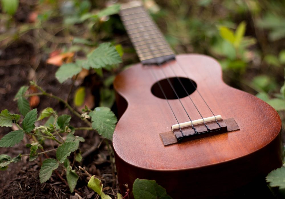 Not Sure Which Musical Instrument to Learn? Here Are a Few Recommendations