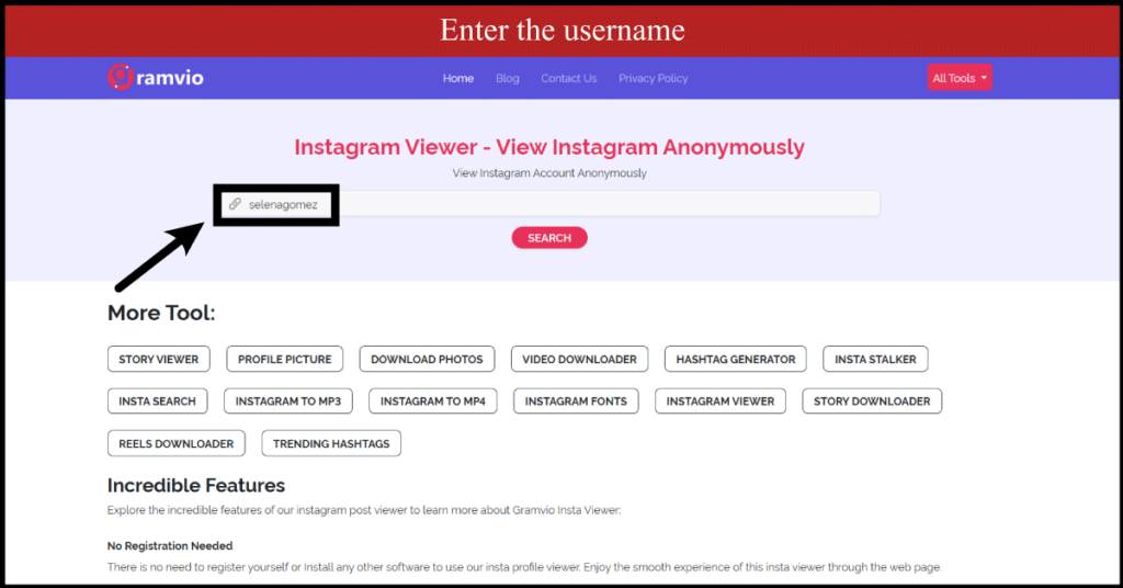 enter instagram username