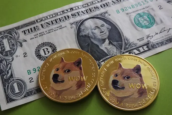 Doge Dogecoin USD