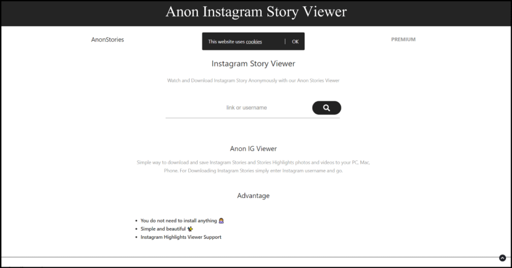 Anon Instagram Story Viewer