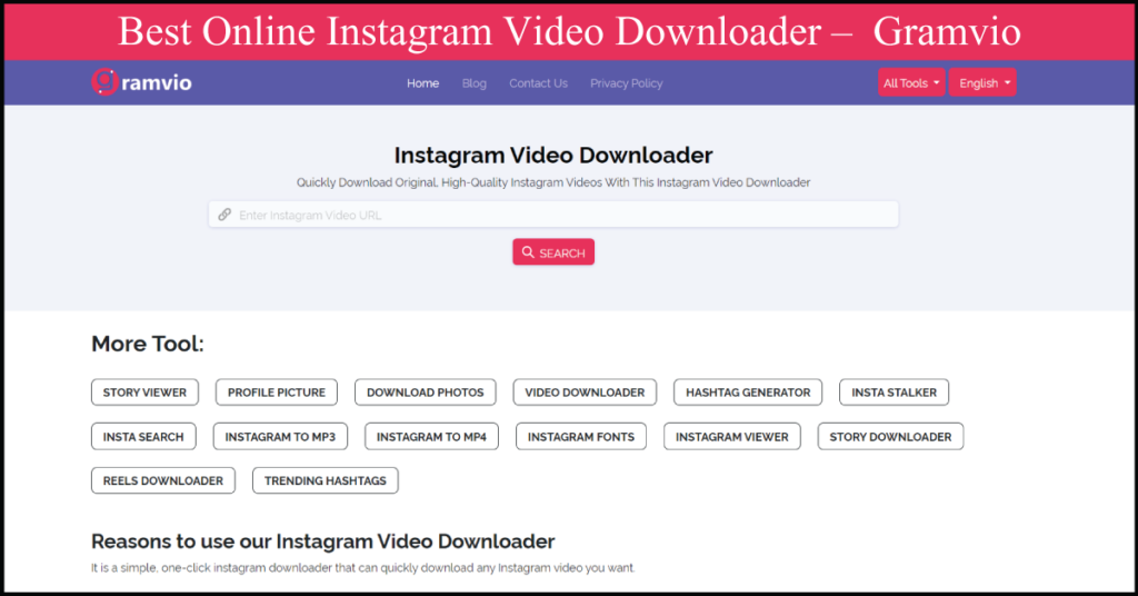 Best Online Instagram Video Downloader - Gramvio