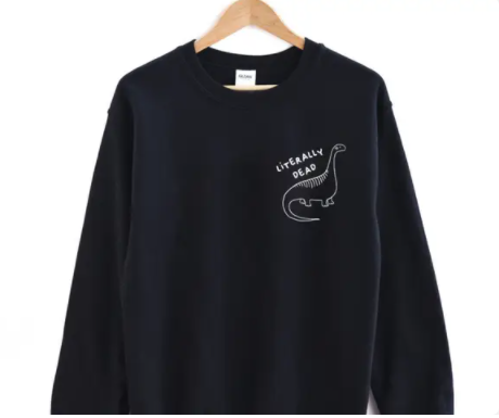 Dinosaur Sweatshirt 