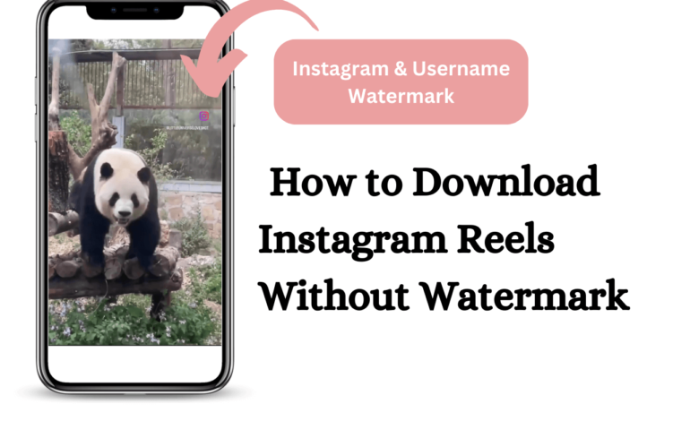 How to Instagram Reels Download Online Without Watermark
