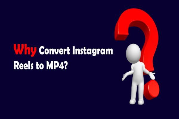 Why Convert Instagram Reels to MP4?