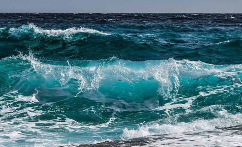 Everything You Need to Know About Identifying Waves