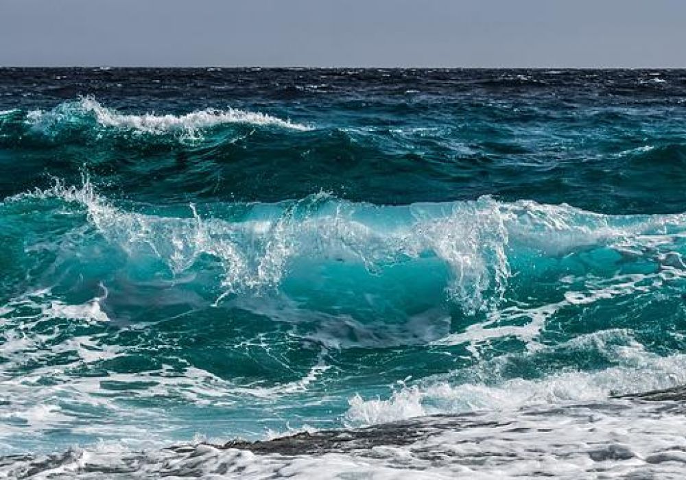 Everything You Need to Know About Identifying Waves