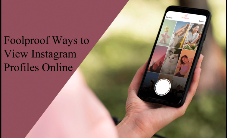 Foolproof Ways to View Instagram Profiles Online
