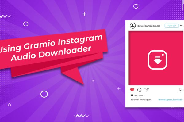 Using Gramvio Instagram audio downloader:
