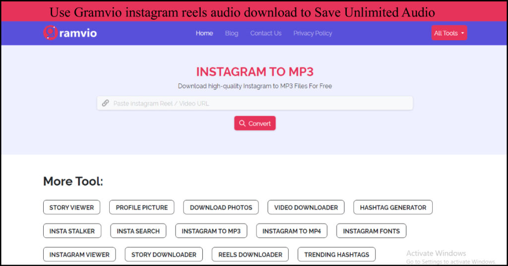 Use Gramvio instagram reels audio download to Save Unlimited Audio