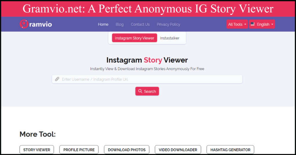 IG Story Viewer