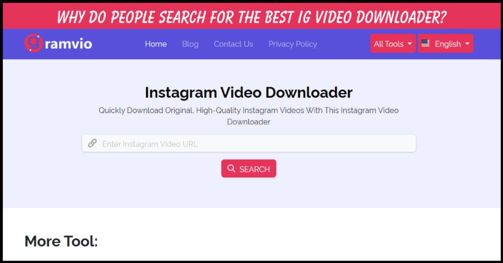 Best IG Video Downloader